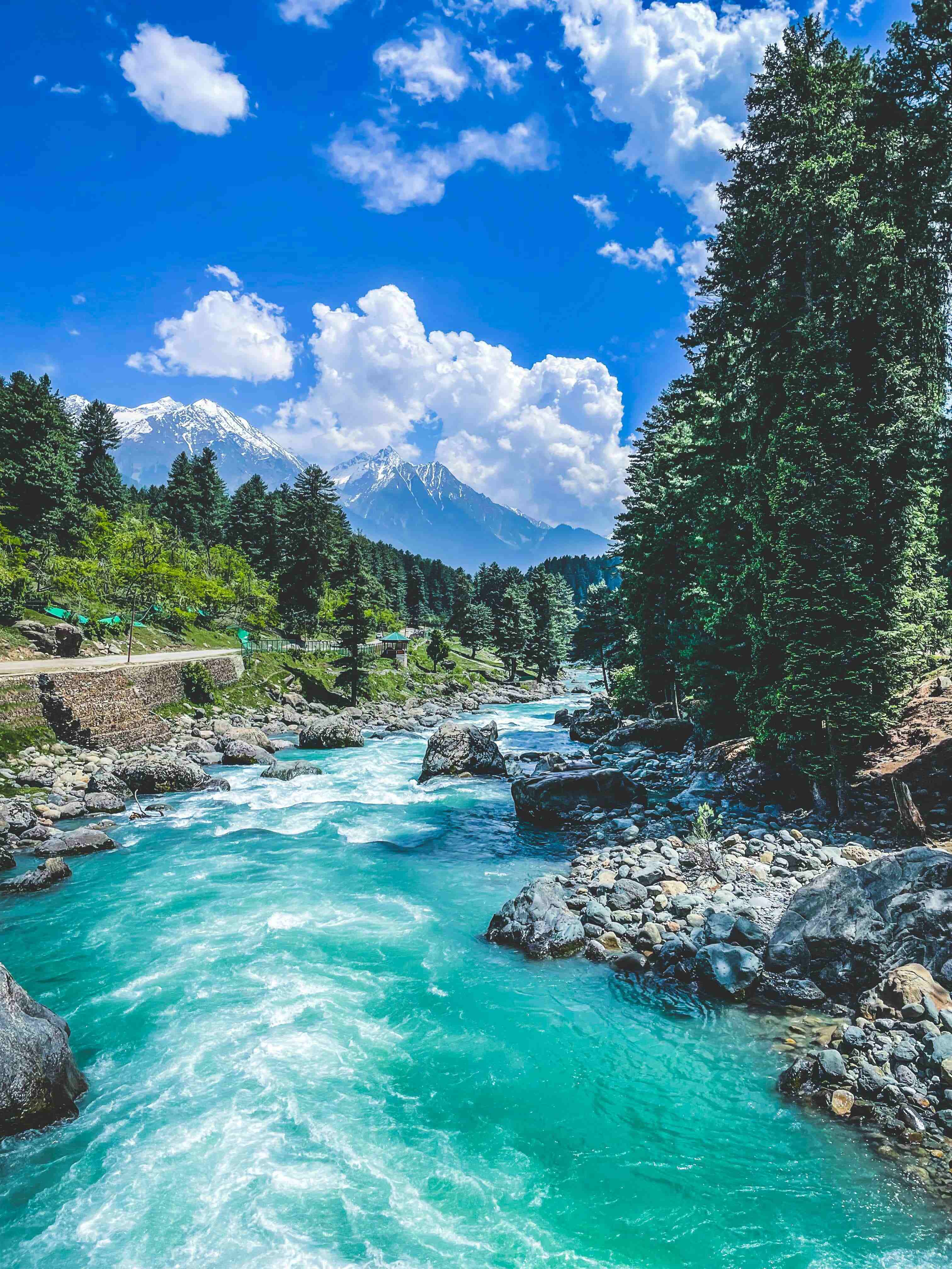 Top Foods to Try in Kashmir